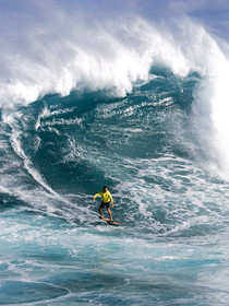 MAUI - HAWAII - USA . Jan 2007.