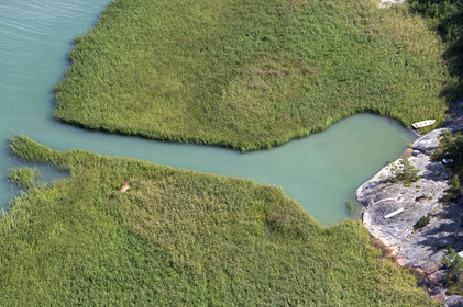 Archipelago Raid 2007 (30 July    3 August 2007).