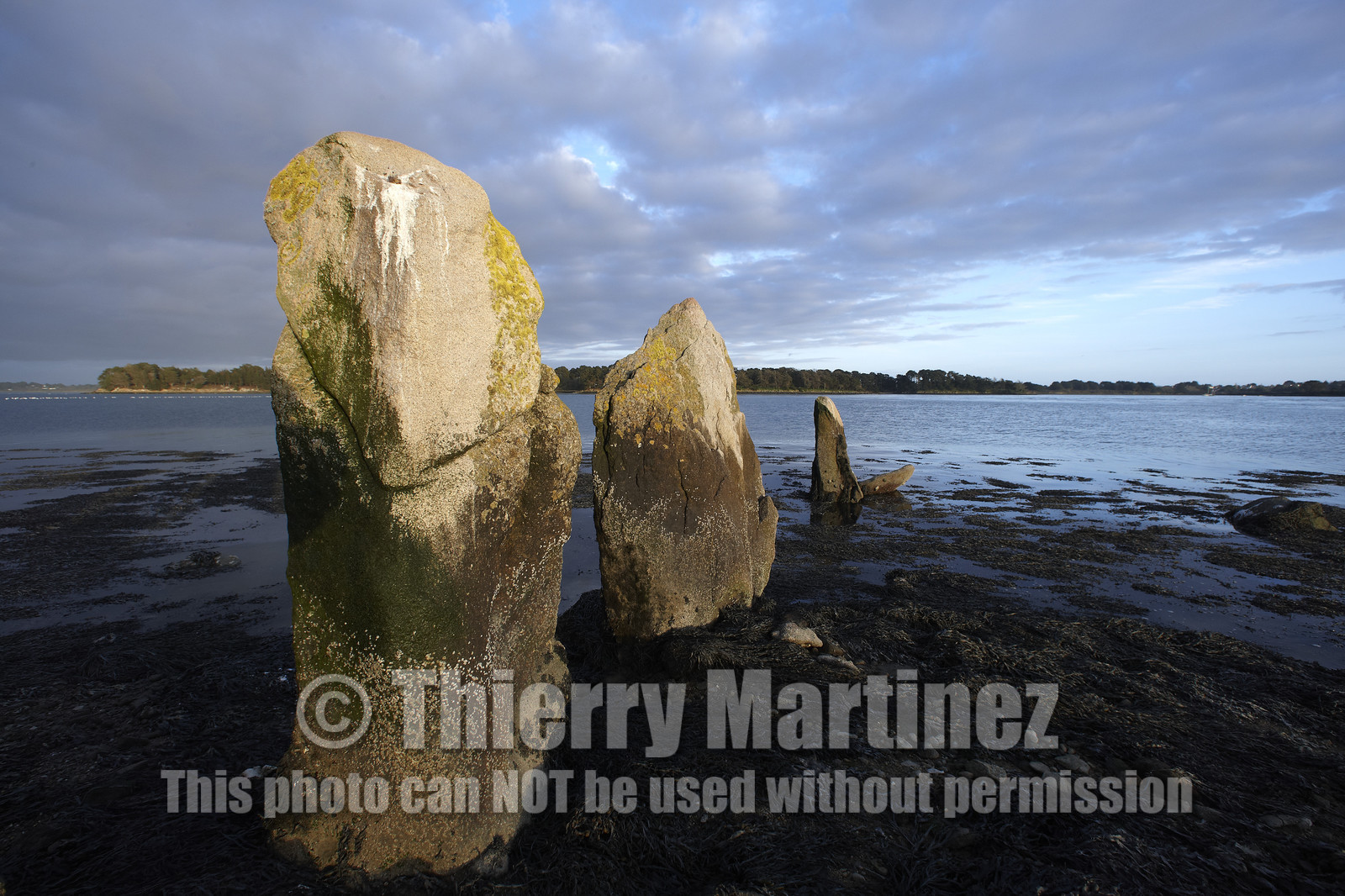 13_03296 Golfe du Morbihan