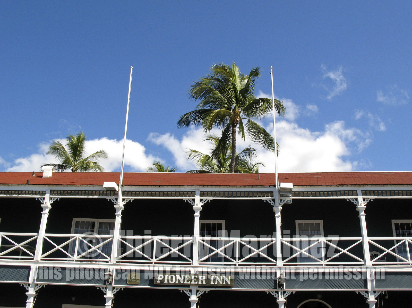 Diving in Maui HAWAII - USA . Jan 2007.