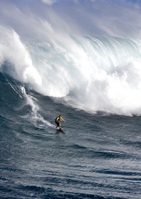 MAUI - HAWAII - USA . Jan 2007.