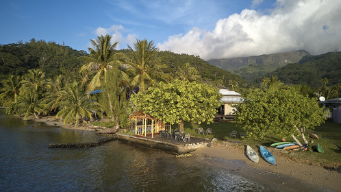 THM-18_038019_TEMEHANI