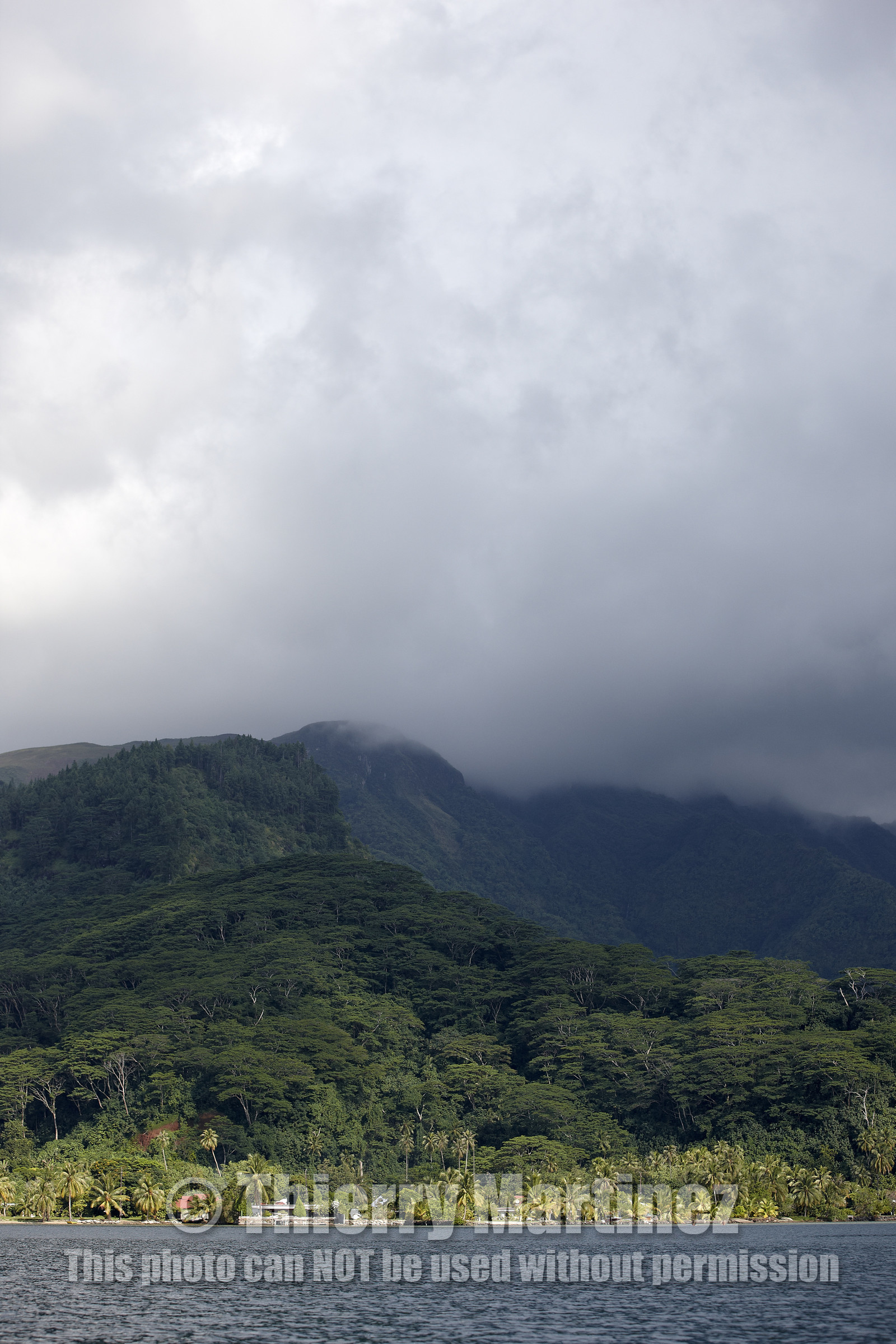 15_025063  ©ThMartinez Sea&Co.  RAIATEA - ILES SOUS LE VENT. POLYNESIE FRANCAISE .  2 Février 2015. ..