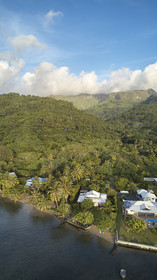 THM-18_038049_TEMEHANI