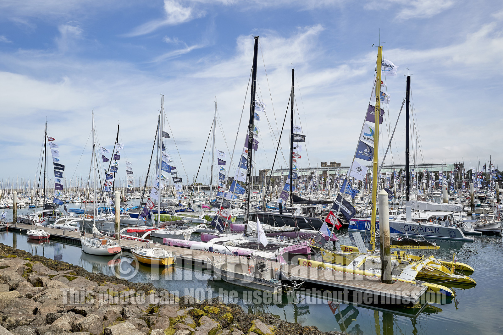 THM-20_08510_DRHEAM CUP