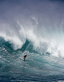 MAUI - HAWAII - USA . Jan 2007.