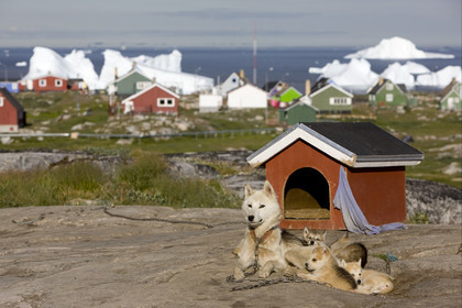 Schooner LA LOUISE sailing on west coast of Greenland.