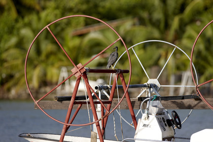 15_023806  ©ThMartinez Sea&Co.  RAIATEA - ILES SOUS LE VENT. POLYNESIE FRANCAISE .  2 Février 2015. ..