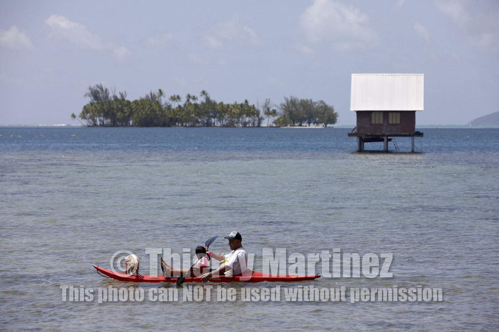 15_023784  ©ThMartinez Sea&Co.  RAIATEA - ILES SOUS LE VENT. POLYNESIE FRANCAISE .  1er Février 2015. ..