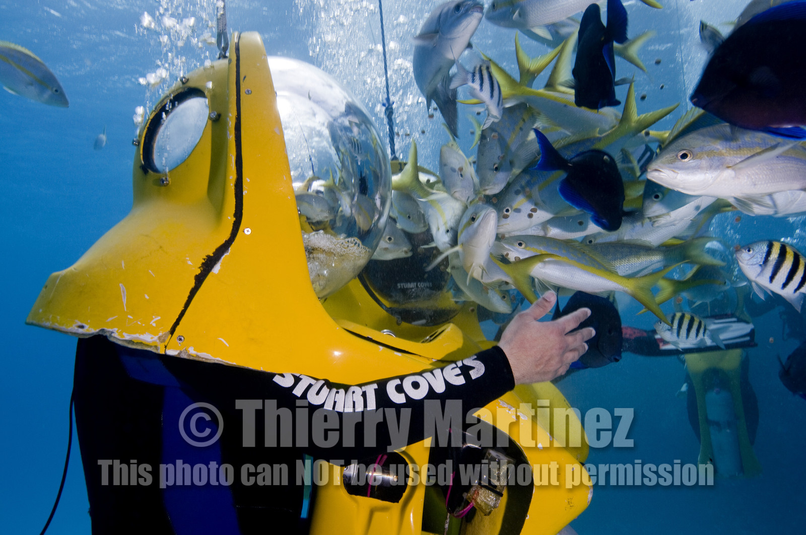 DIVING IN BAHAMAS- JAN 2007