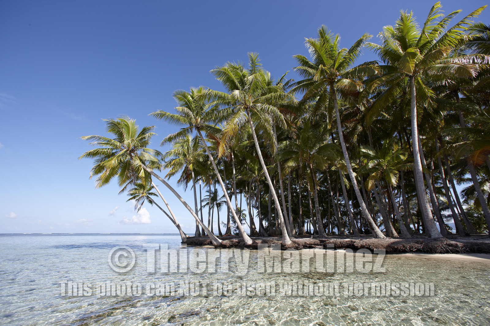 15_024832  ©ThMartinez Sea&Co.  RAIATEA - ILES SOUS LE VENT. POLYNESIE FRANCAISE .  2 Février 2015. ..MOTU dans le lagon de Raiatea.