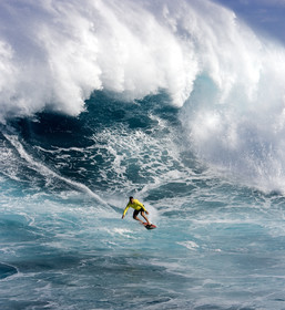 MAUI - HAWAII - USA . Jan 2007.