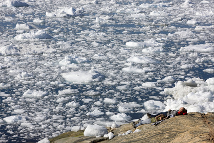 Schooner LA LOUISE sailing on west coast of Greenland.