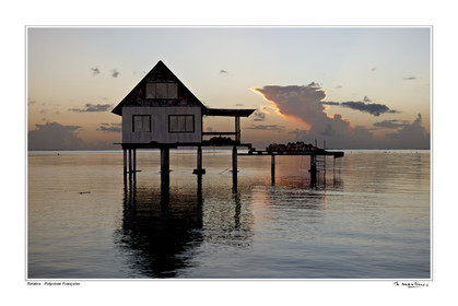 Photo disponible en tirage photo Fine Art,tirage original limités à 30 exemplaires.Chaque tirage est numéroté avec certificat d’authenticité signé.Pour choisir le format et support merci d'utiliser le caddie à coté de la photo.Formats disponibles : Tirage sur papier ( tirage seul) :  30x45 cm   40x60 cm  60x90 cm. Vous pouvez choisir le tirage avec un fond blanc ou noir , à votre convenance. Tirage sur papier contrecollé sur Dibond ( pas de bord blanc ou noir autour de l'image), avec système d'attache au dos:  30x45 cm   40x60 cm  50x75 cm  80x120cm.Tirage sur toile ( Canvas) monté sur chassis bois (pas de bord blanc ou noir autour de l'image), avec système d'attache au dos :  50x75 cm  80x120cm.Expédition ( Dans le monde entier): Colissimo (assurance) avec signature à réception. 48h pour la France métropolitaine.Il est possible de récupérer les tirages à La Galerie du Golfe (sans frais d'expèdition).Conditionnement tirages seuls: tube cylindrique renforcé + boite.