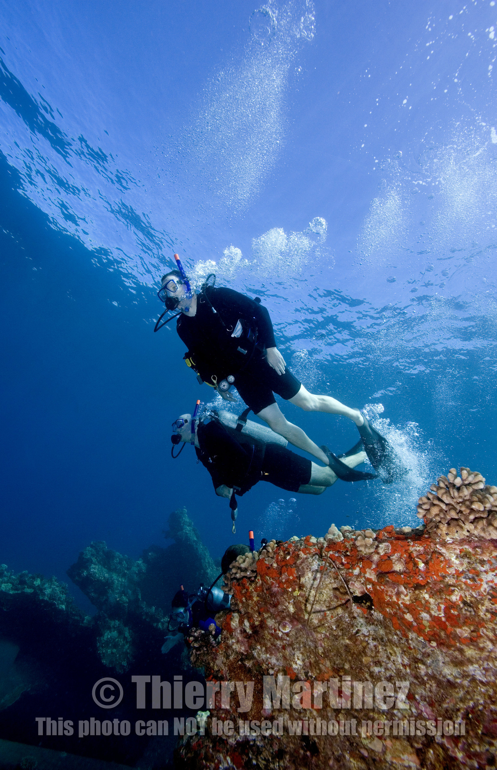 Diving in Maui HAWAII - USA . Jan 2007.