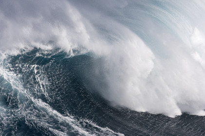 MAUI - HAWAII - USA . Jan 2007.