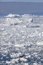 Schooner LA LOUISE sailing on west coast of Greenland.