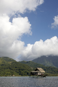 15_025118  ©ThMartinez Sea&Co.  RAIATEA - ILES SOUS LE VENT. POLYNESIE FRANCAISE .  2 Février 2015. ..FERME PERLIERE