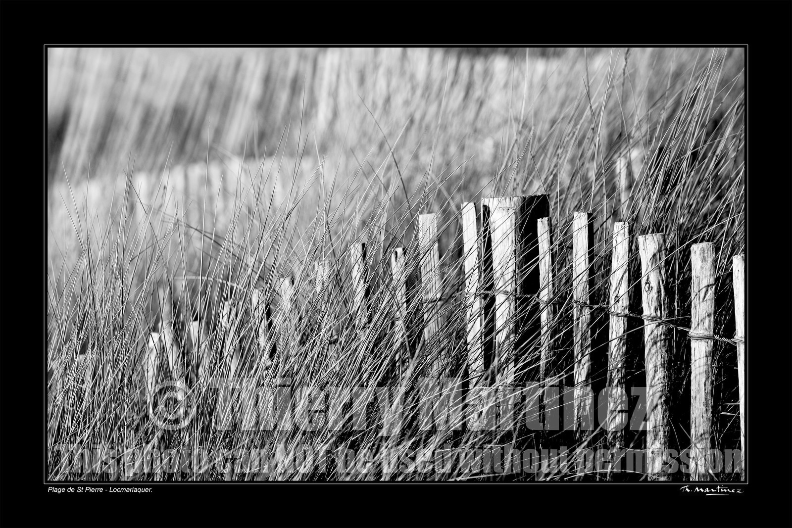 08_00019-St Pierre fond noir-.jpg