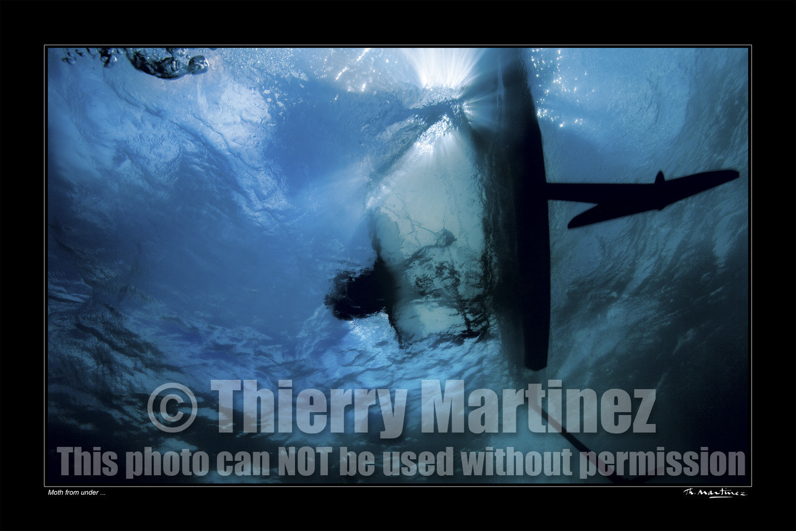 07_02436-moth fond noir-.jpg