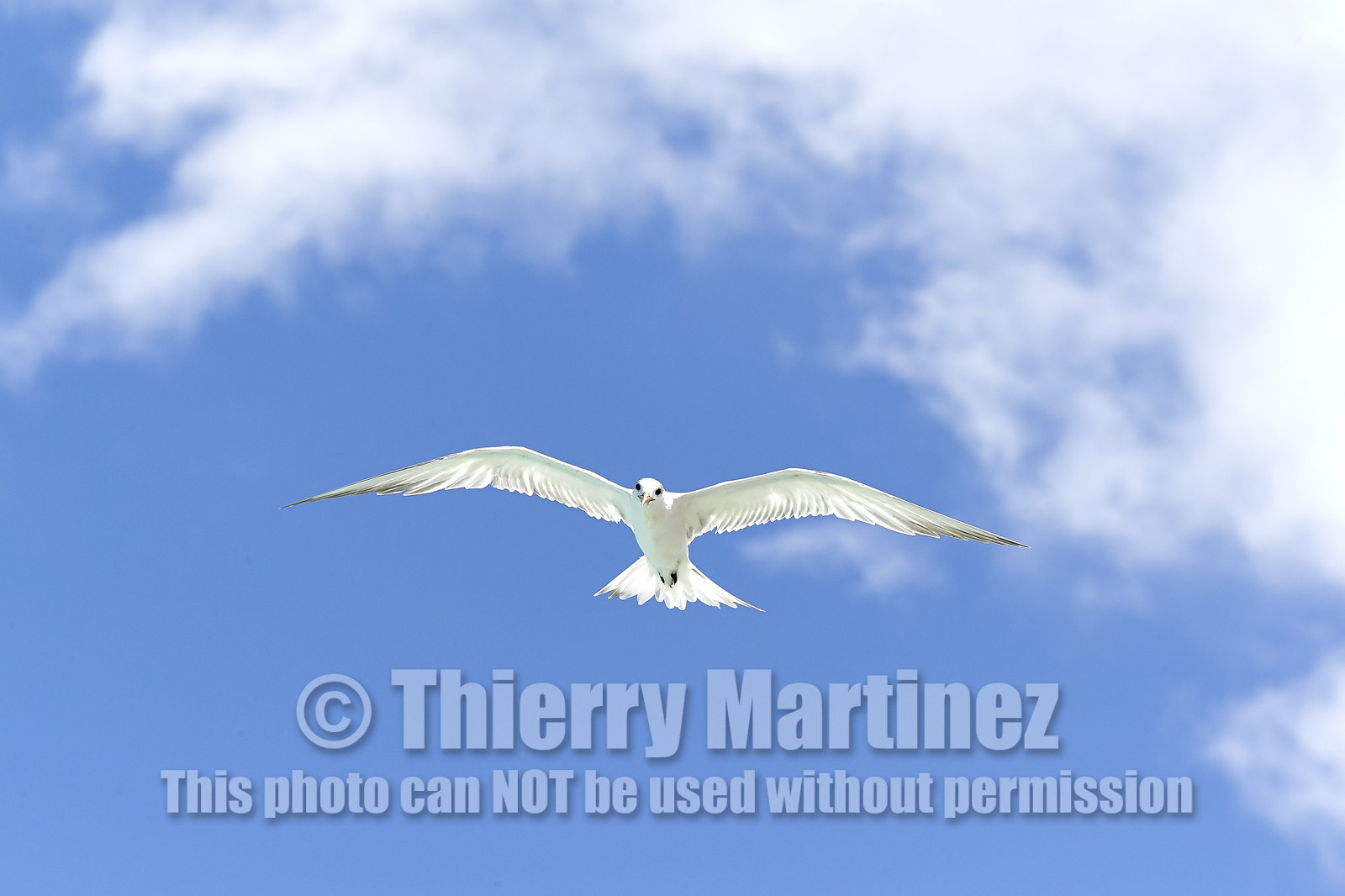 THM-18_041122_FAKARAVA