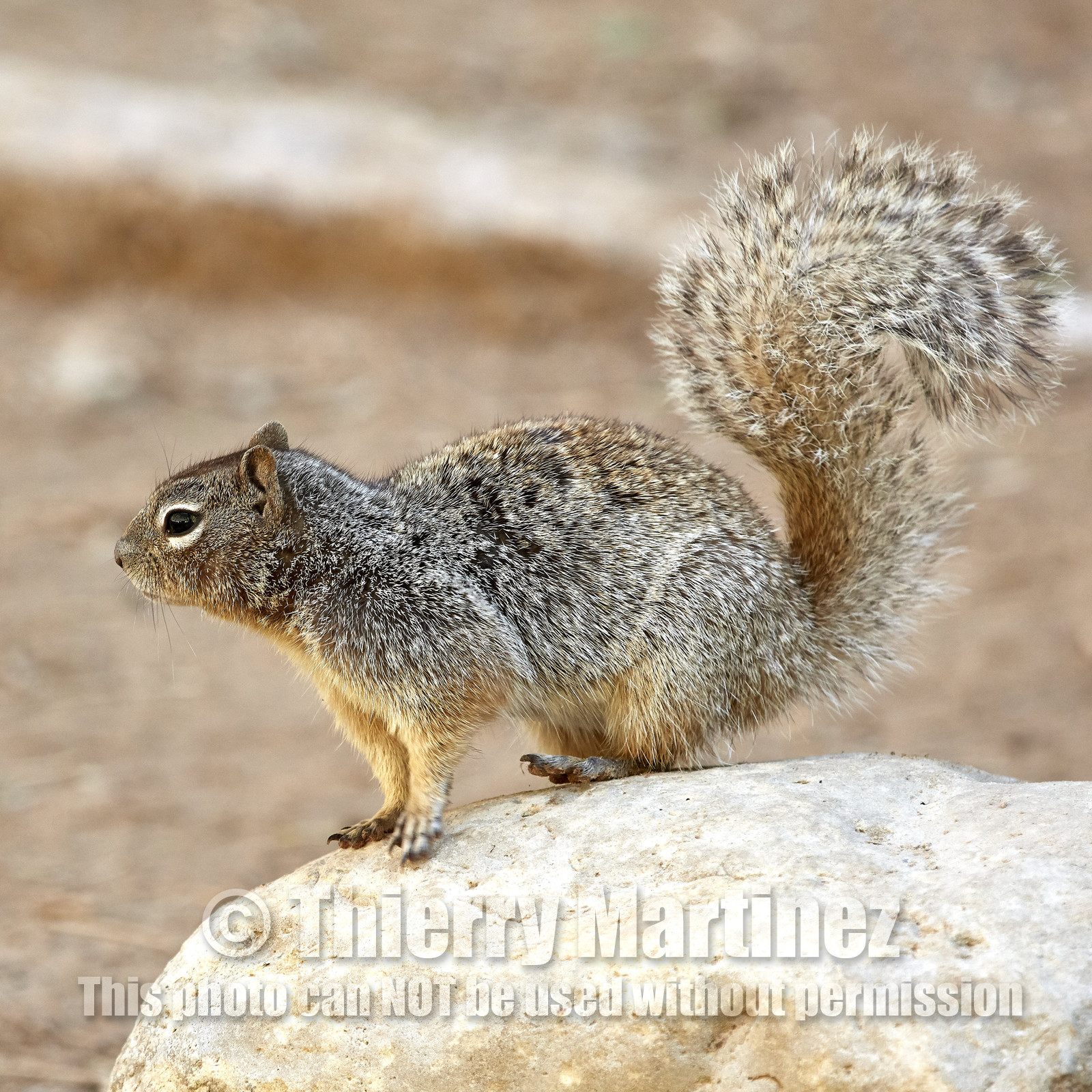 THM-18_052339-ZION Canyon