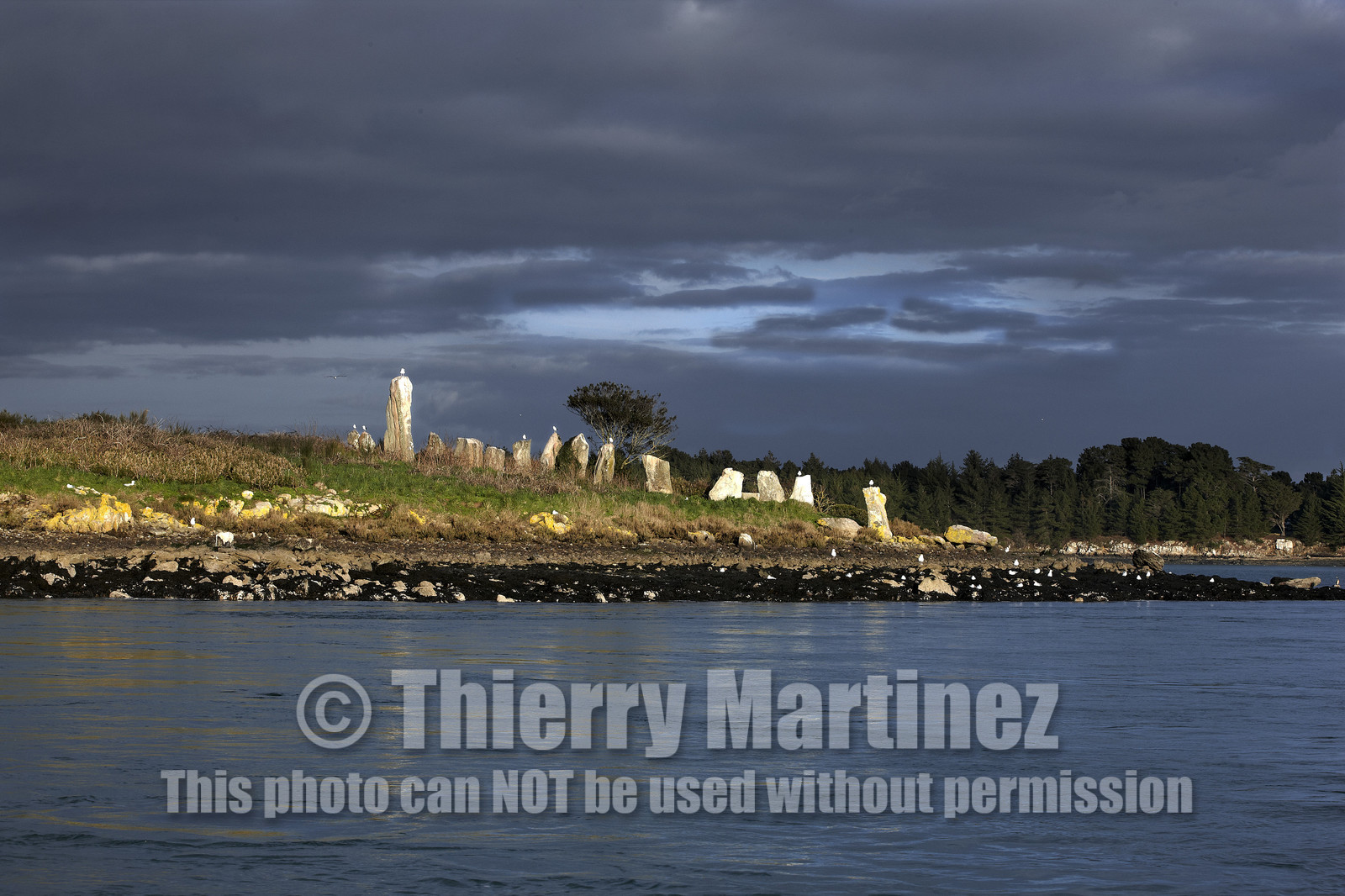 13_03208 Golfe du Morbihan