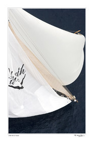 07_30577 fond blanc -.jpg