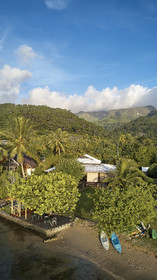 THM-18_038042_TEMEHANI