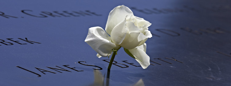 New York City (USA).