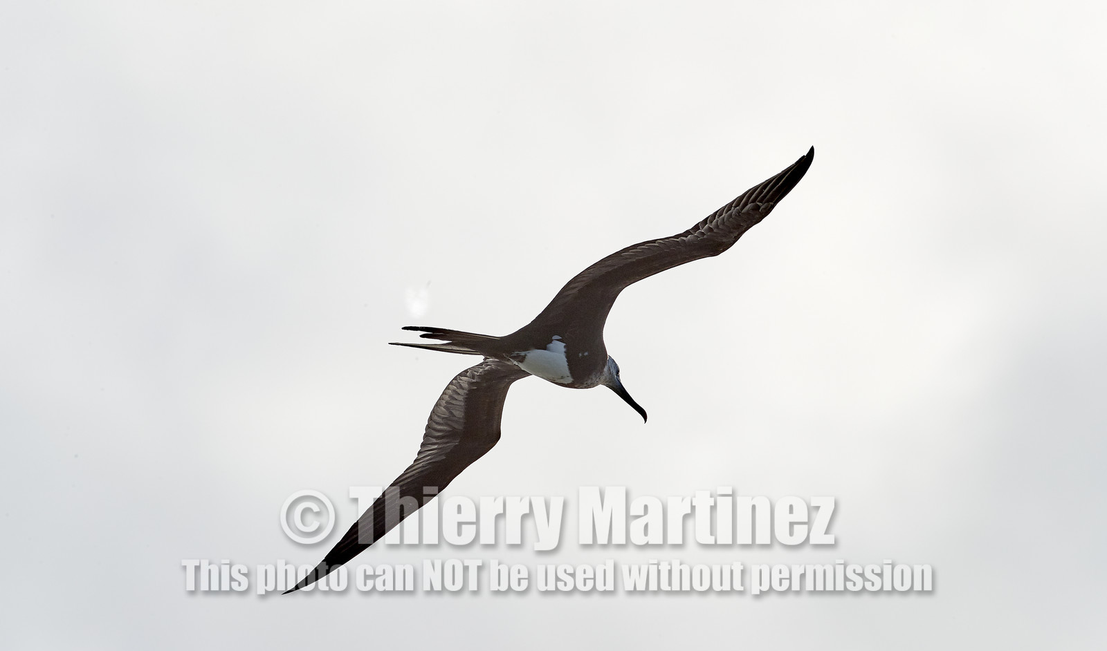 THM-18_039192_RANGIROA