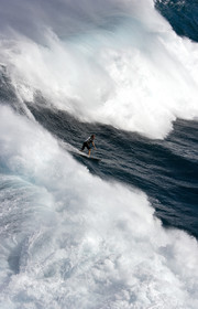 MAUI - HAWAII - USA . Jan 2007.