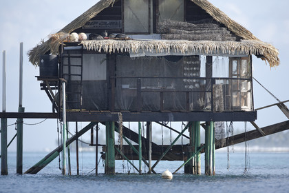 15_025092  ©ThMartinez Sea&Co.  RAIATEA - ILES SOUS LE VENT. POLYNESIE FRANCAISE .  2 Février 2015. ..FERME PERLIERE