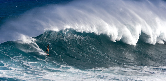 MAUI - HAWAII - USA . Jan 2007.