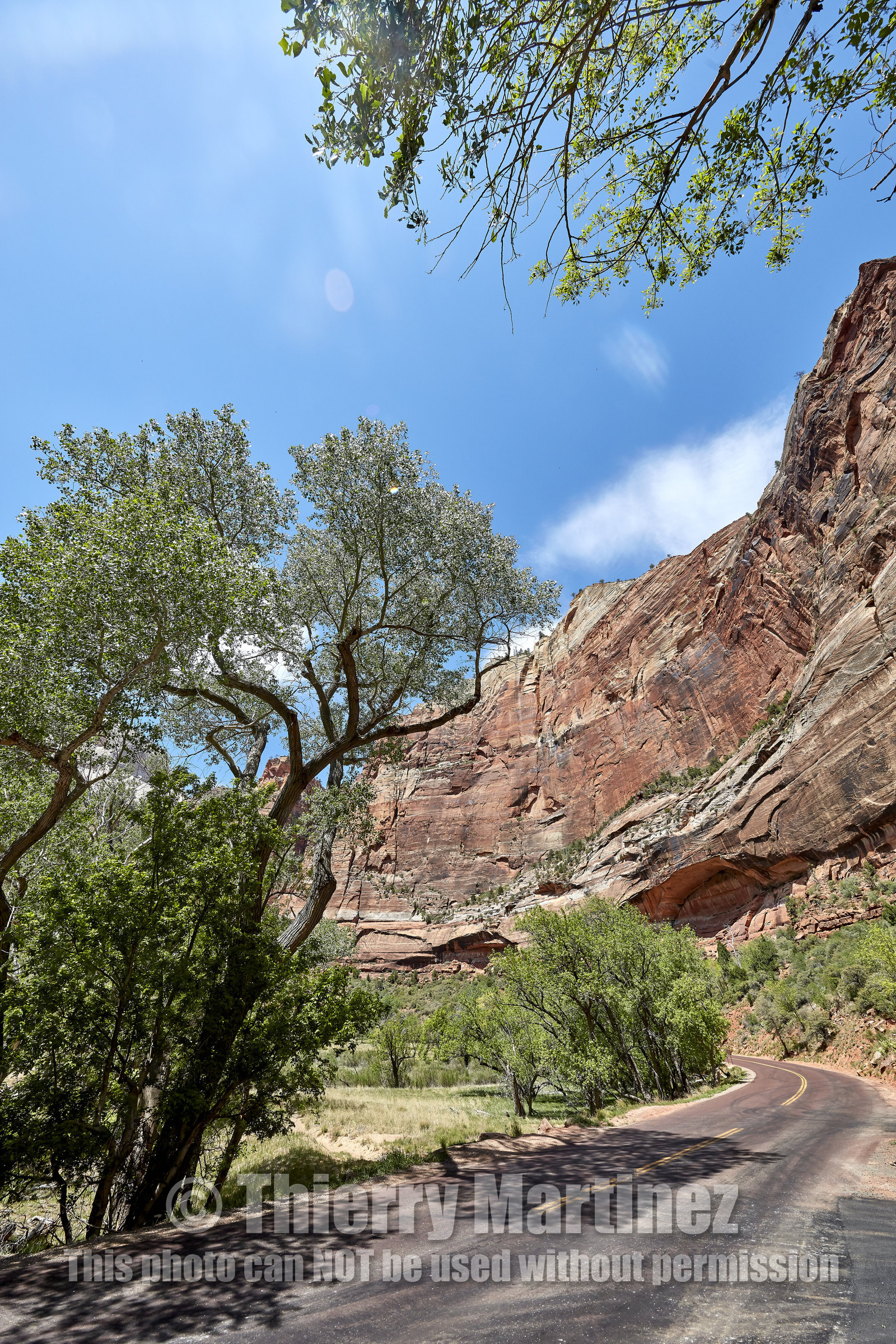 THM-18_052477-ZION Canyon