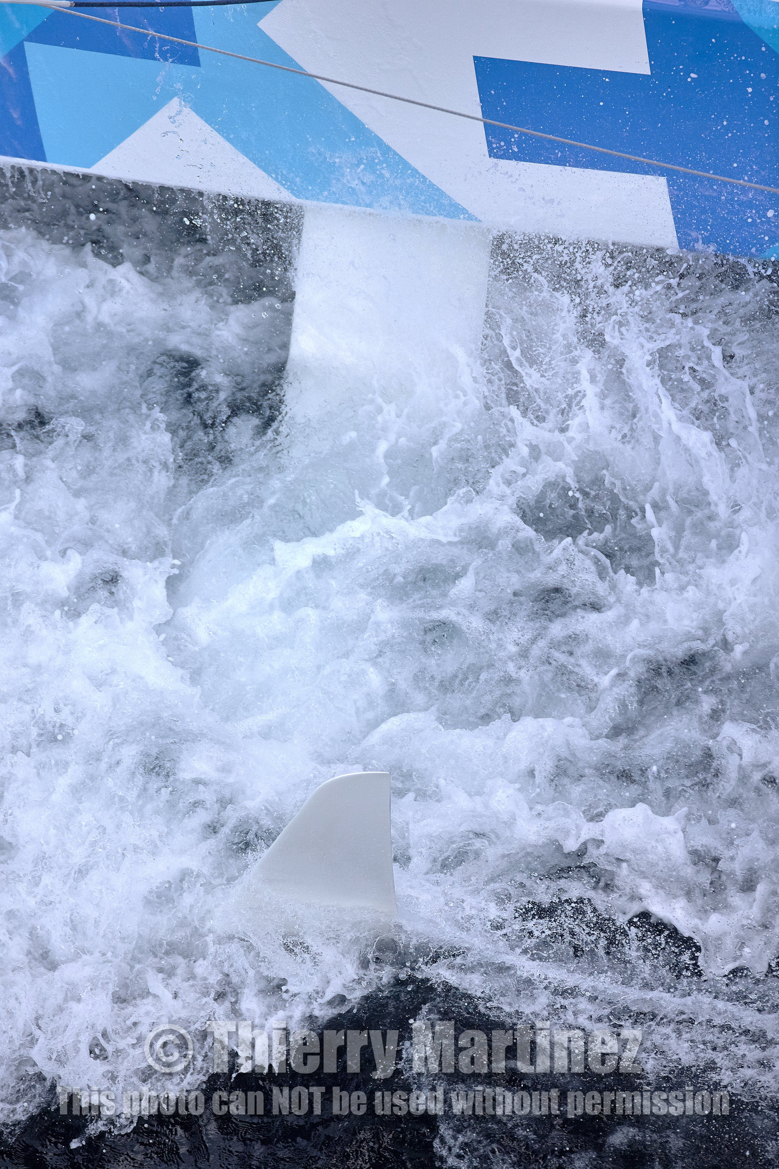 THM-15_72709_Banque_Populaire_VIII