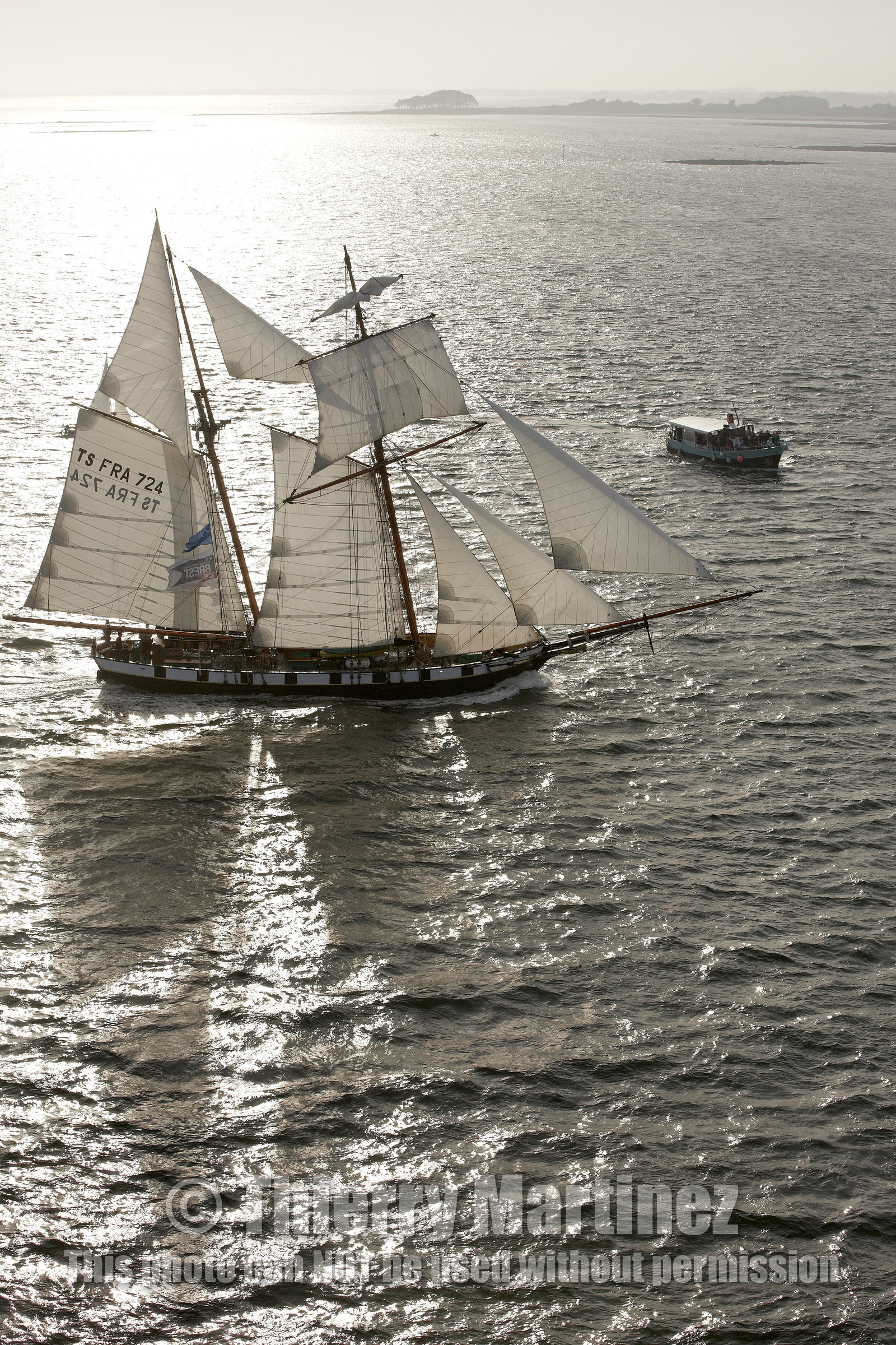 Semaine du Golfe 2015. Parade d'arrivée de la flotte.