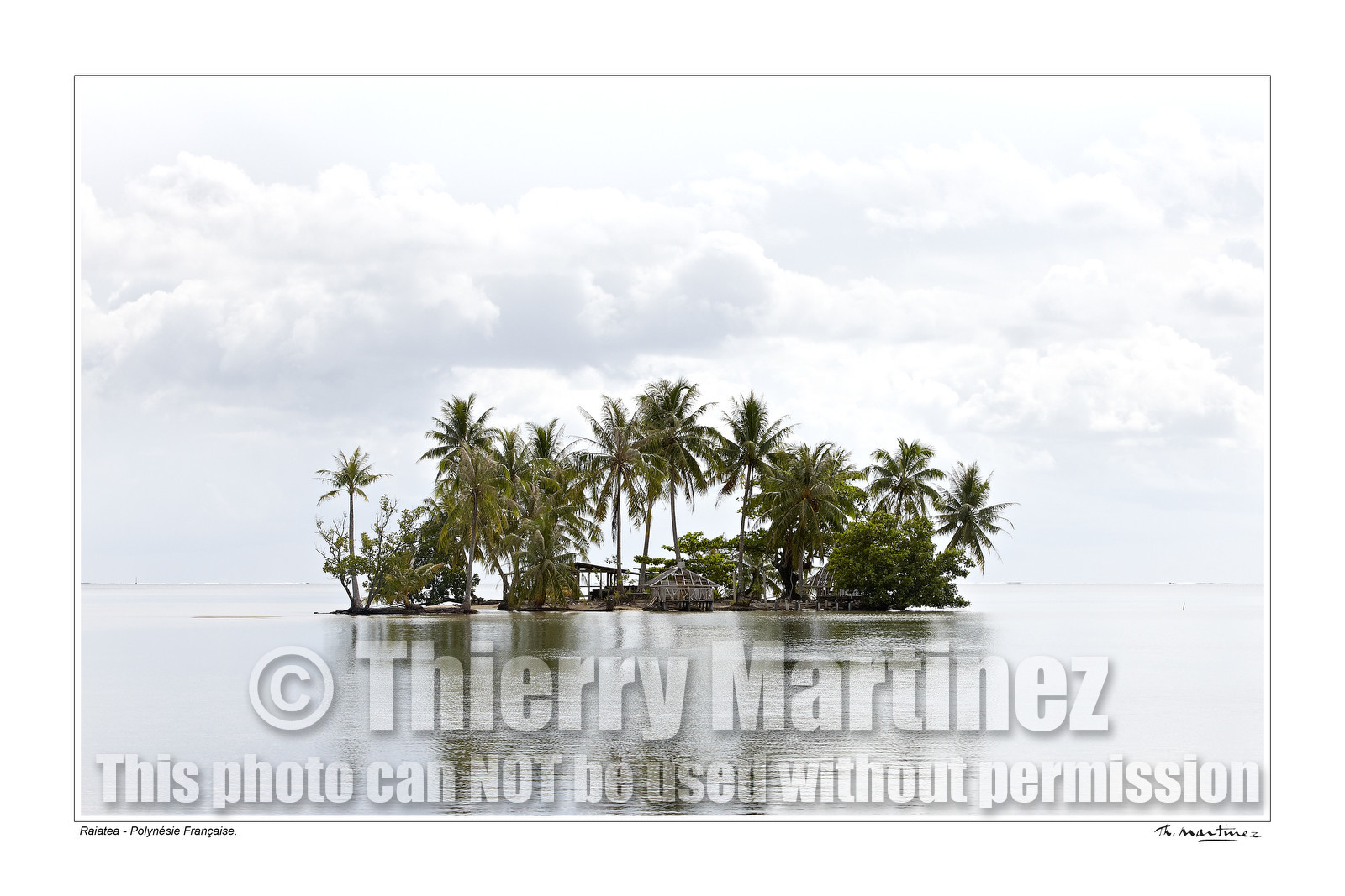 15_24426-- fond blanc -.jpg