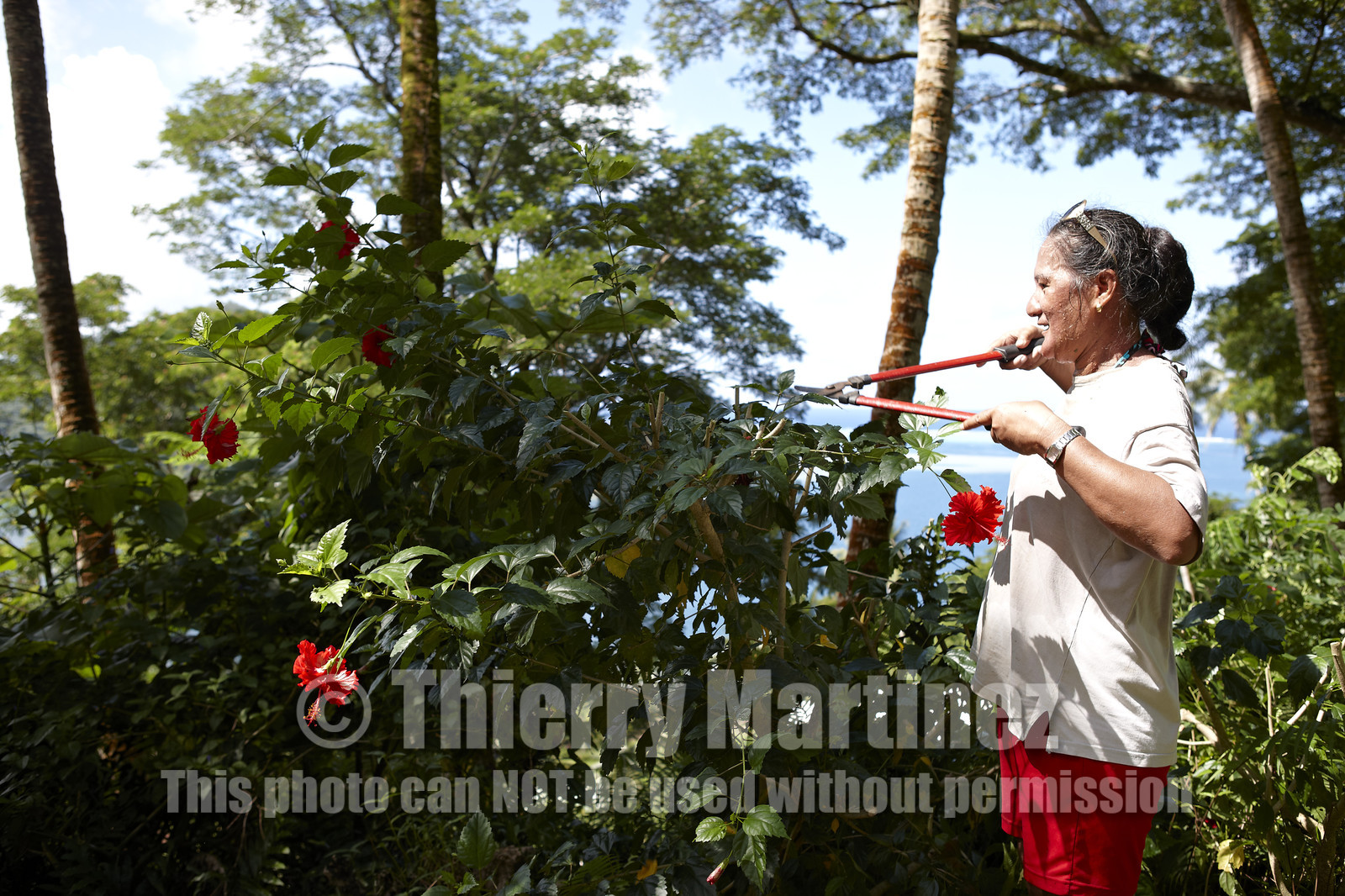 15_024358  ©ThMartinez Sea&Co.  RAIATEA - ILES SOUS LE VENT. POLYNESIE FRANCAISE .  2 Février 2015. ..