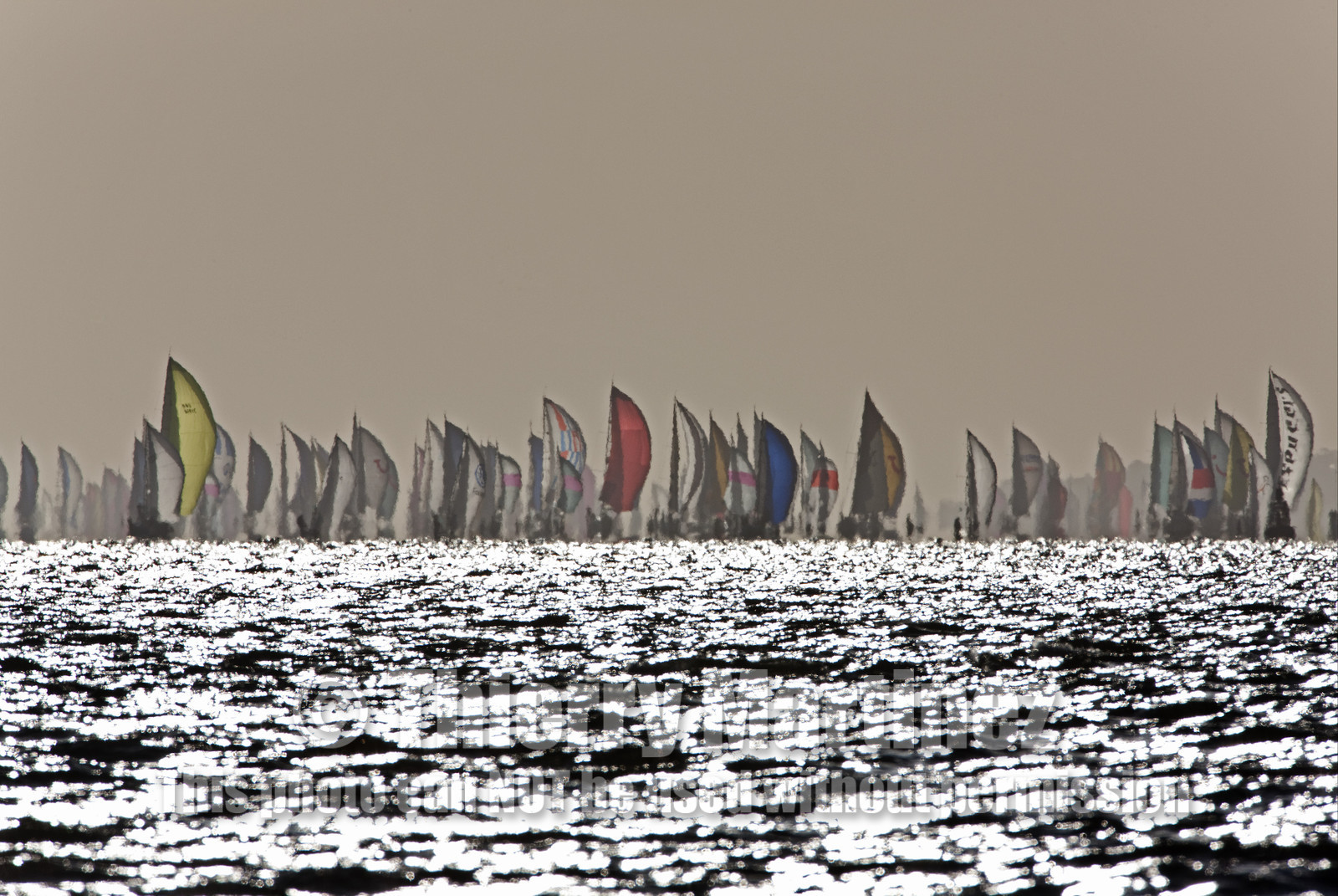 JP Morgan Asset Management Round The Island Race. 19 June 2010.