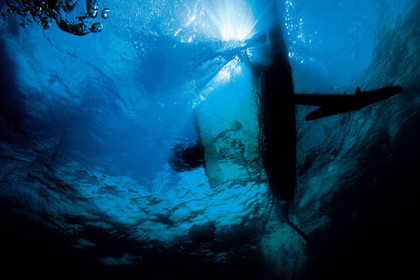 Moth International - Bladerider - Blairgowrie VICTORIA - AUSTRALIE . Feb 2007.