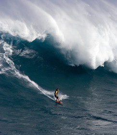 MAUI - HAWAII - USA . Jan 2007.