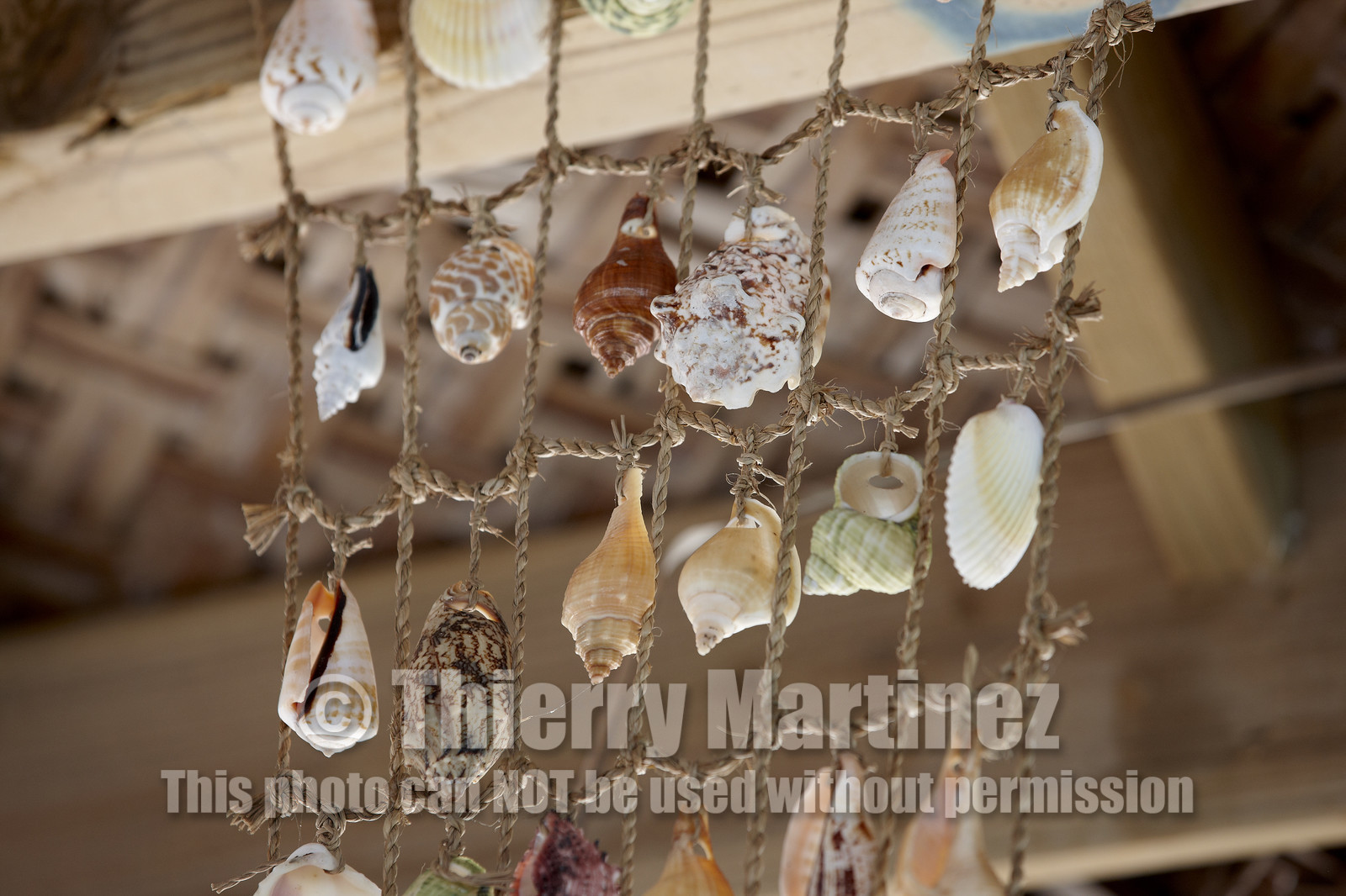 15_027796  ©ThMartinez Sea&Co.  FAKARAVA - ARCHIPEL des TUAMOTU. POLYNESIE FRANCAISE .  14 Février 2015. .