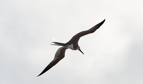 THM-18_039192_RANGIROA