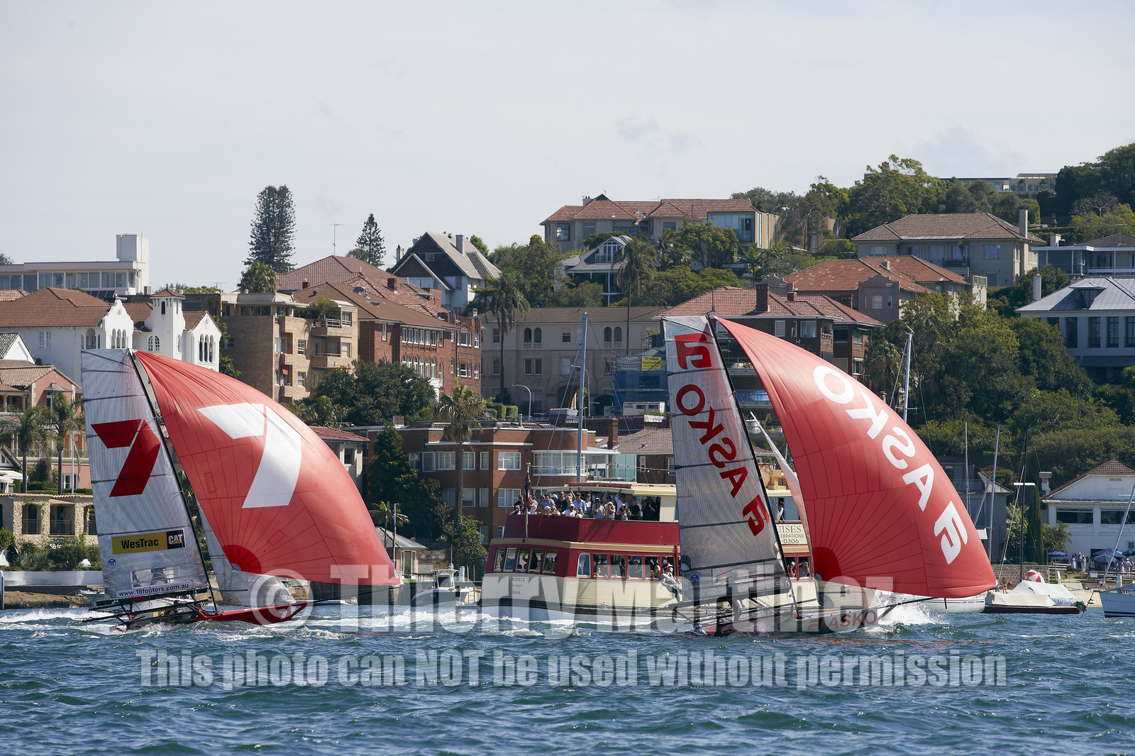 15_019571-Skiff-Sydney