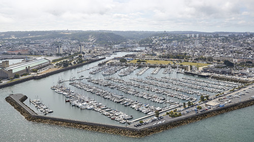 THM-20_07592_DRHEAM CUP