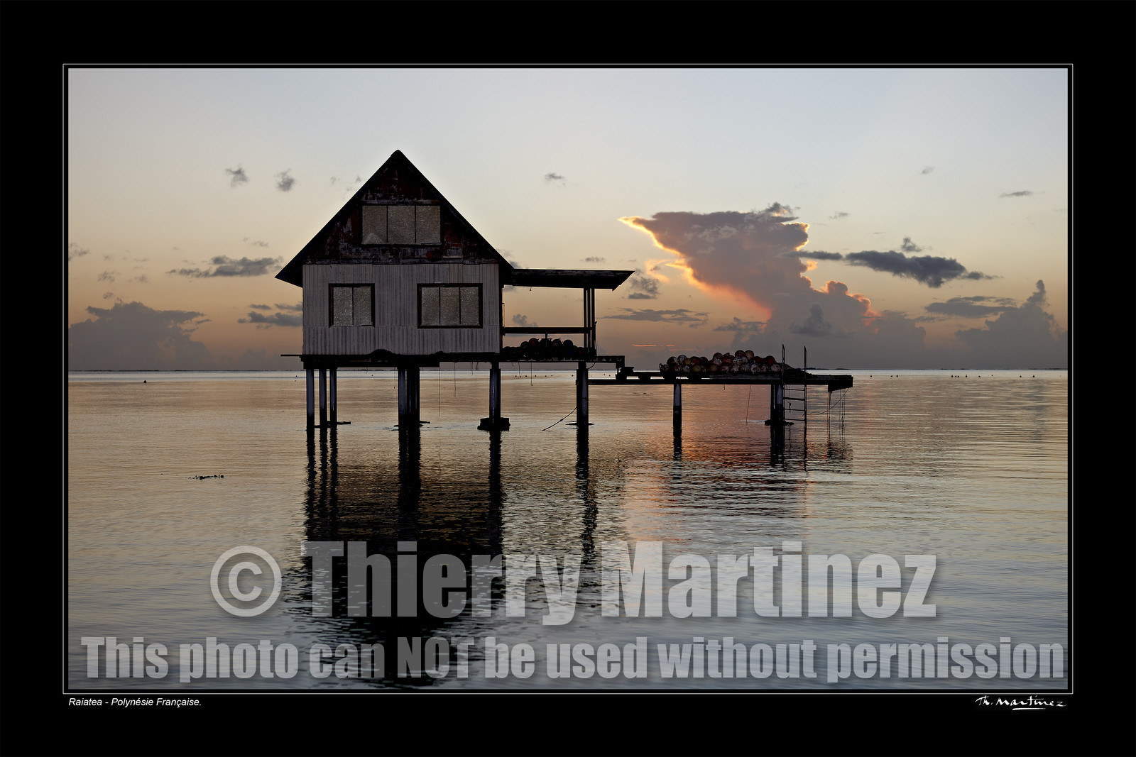 15_25716-- fond noir -.jpg