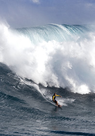 MAUI - HAWAII - USA . Jan 2007.