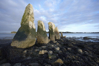 13_03292 Golfe du Morbihan