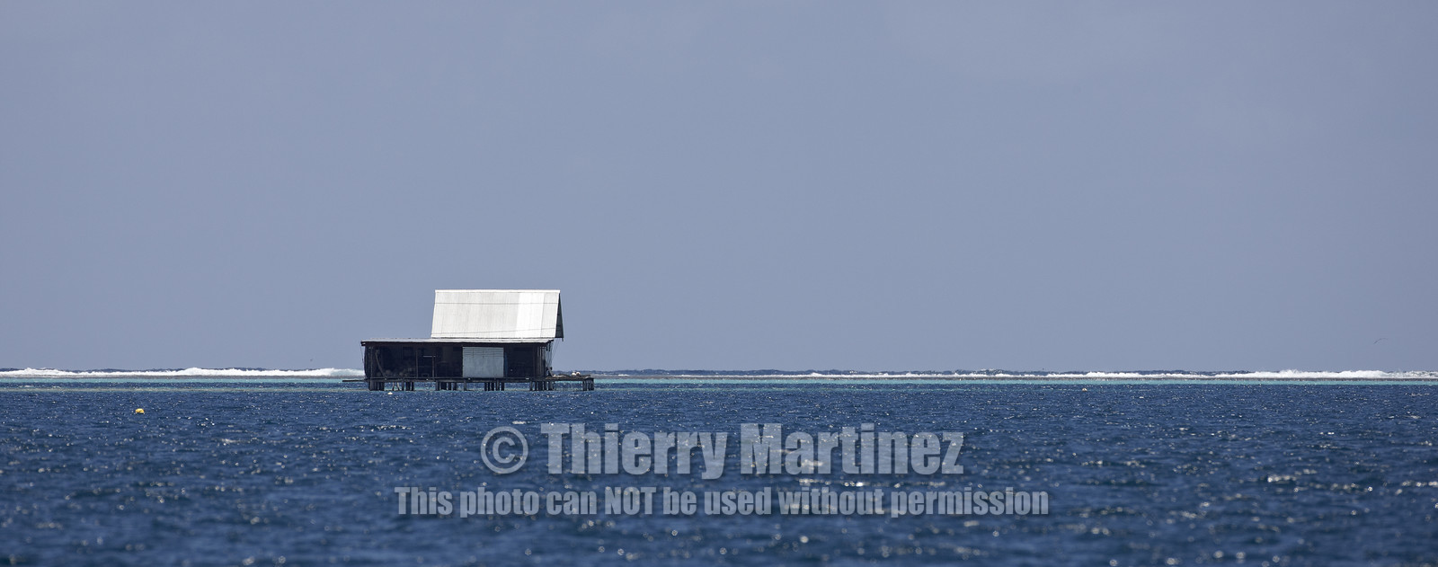 15_023933  ©ThMartinez Sea&Co.  RAIATEA - ILES SOUS LE VENT. POLYNESIE FRANCAISE .  2 Février 2015. ..